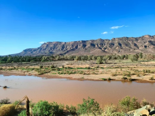 Excursion from Marrakech to Zagora