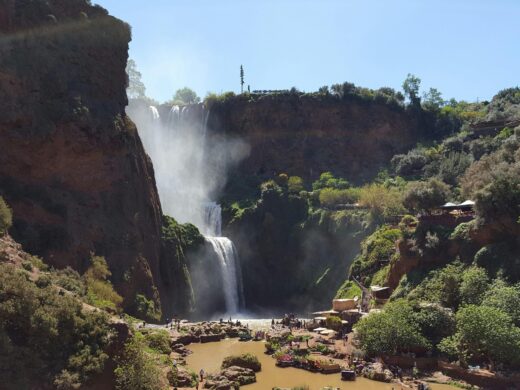 Waterfall Near Green Trees during Daytime