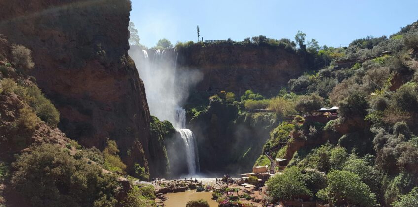 Waterfall Near Green Trees during Daytime