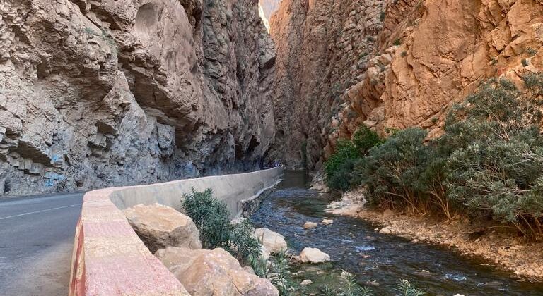 1 day tours from ouarzazte